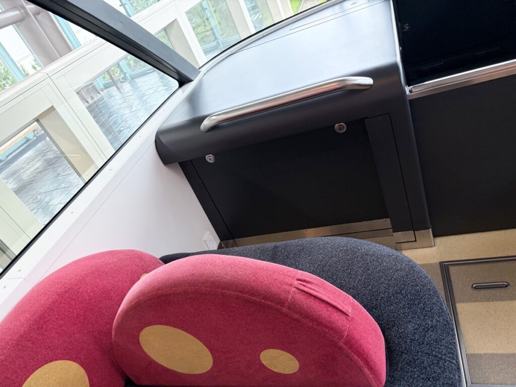 Disney Resort Line front seat with Mickey cushion — best seat for kids on the monorail