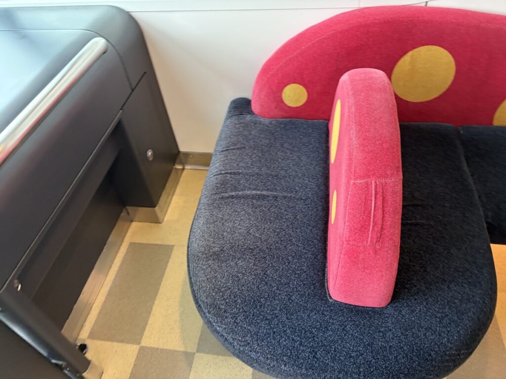 Disney Resort Line front seat area — fits about 2 adults or 3 small children