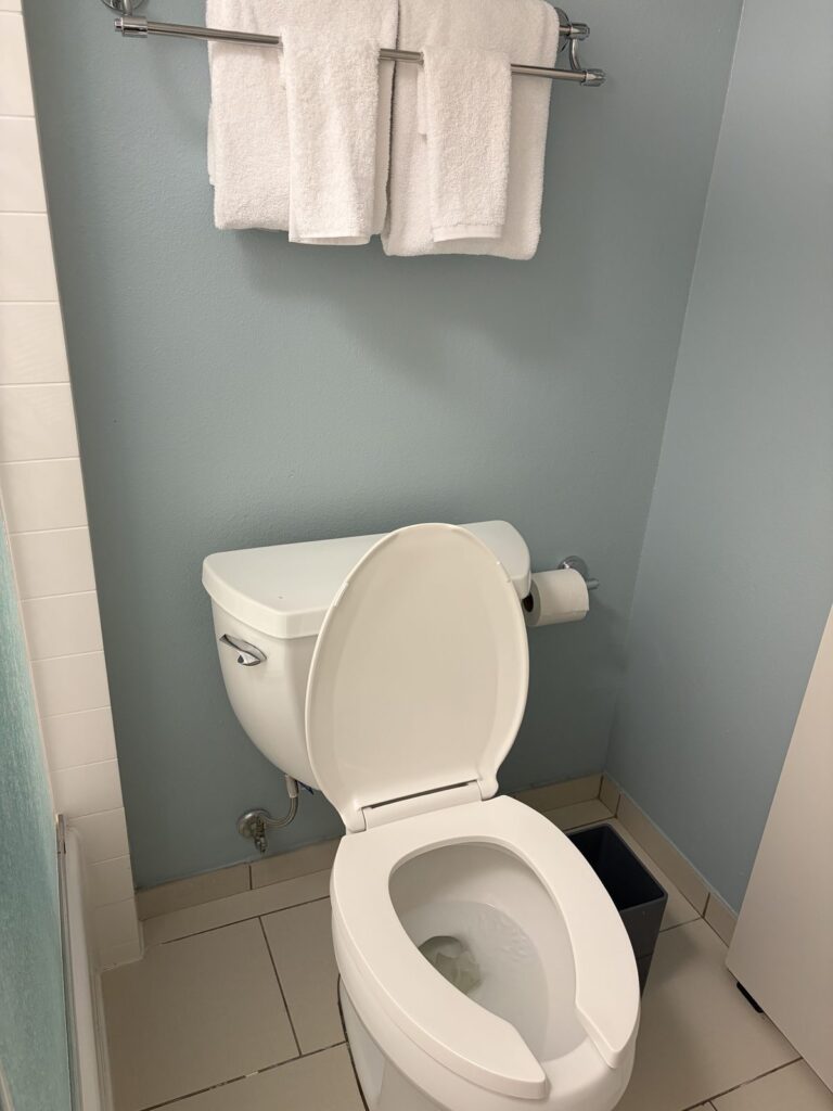 ポップセンチュリー客室のトイレとタオル掛け