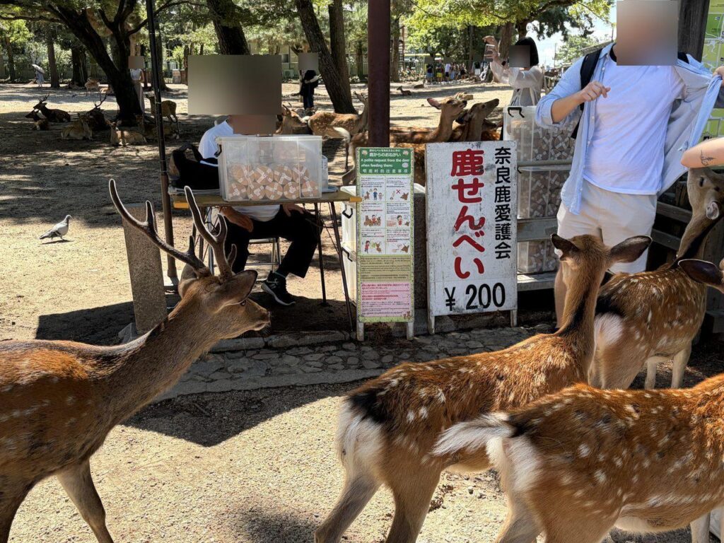 奈良公園の鹿せんべい売店。「奈良鹿愛護会 鹿せんべい ¥200」の看板と、店先に集まる鹿