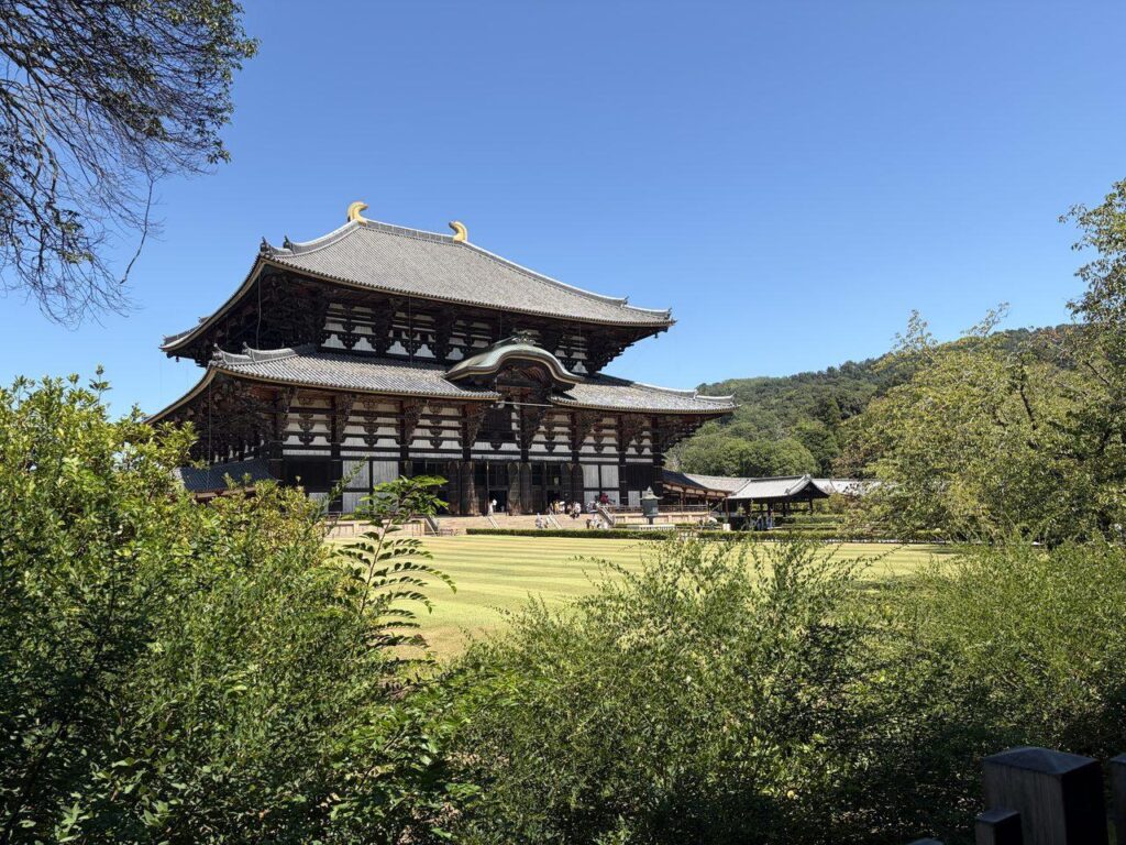 木々の間から見た東大寺大仏殿の全景。手前に広い芝生が広がっている