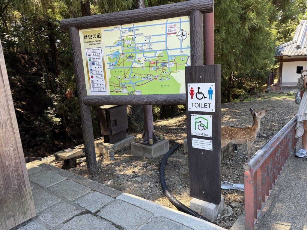 東大寺の境内に立つ「TOILET」の案内柱と、車椅子マークの表示。奥に鹿がいる