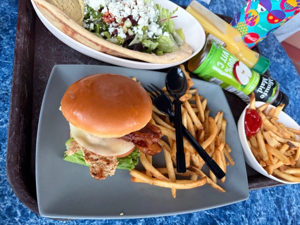 ABCコミサリーのトレー。チキンサンドとフライドポテト、ピタパンに盛られたサラダ、ミニッツメイドのアップルジュースが並んでいる。